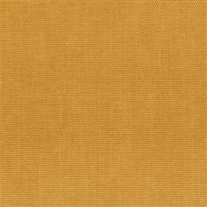 Honey Gold 10