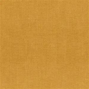Honey Gold 10