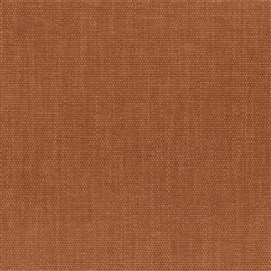 Mocha Bisque 11