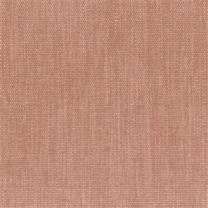 Cameo Brown 14