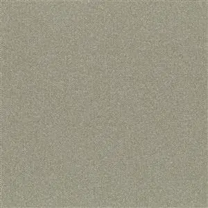 Elephant Skin 11