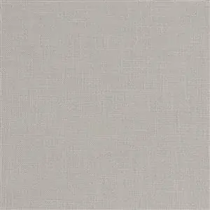 Antarctica 33