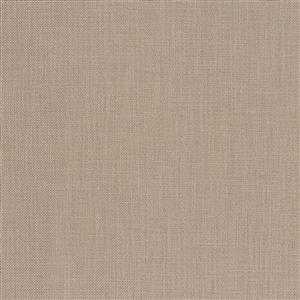 Feather Gray 13