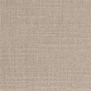 Pumice Stone 08