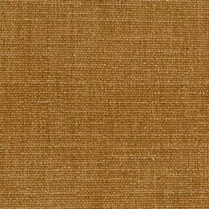 Mustard Gold 13