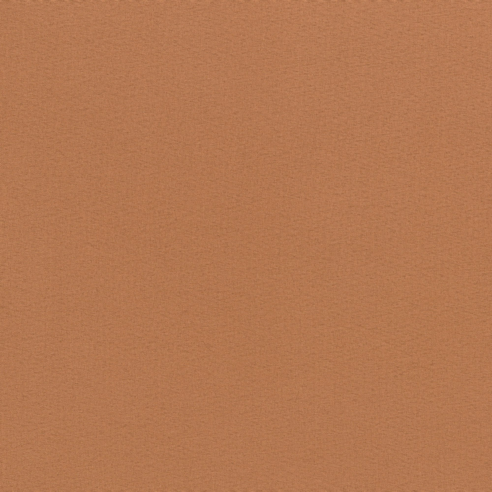 Camel 72