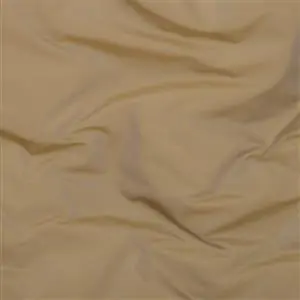 Kelp 37