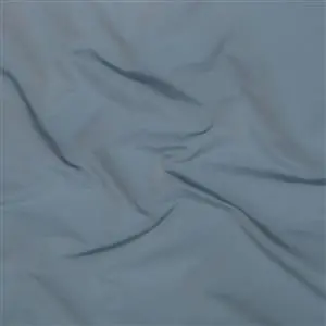 Silver Blue 29