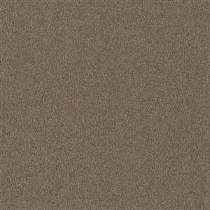 Shitake 09