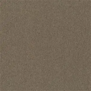 Shitake 09
