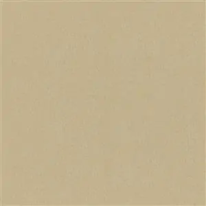 Warm Sand 12