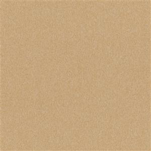 Indian Tan 16