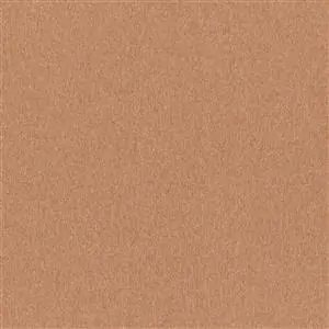 Toasted Nut 18