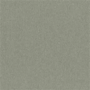 Gray Quill 29