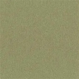 Capulet Olive 37