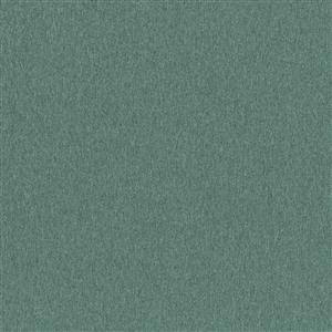 Silver Pine 41
