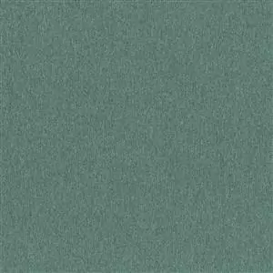 Silver Pine 41