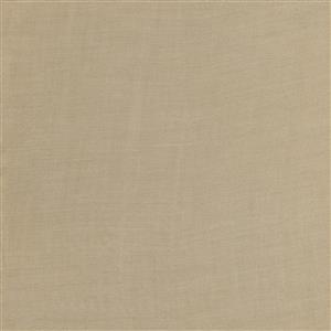 Taupe-27