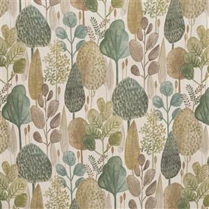 Dried Herbs 01