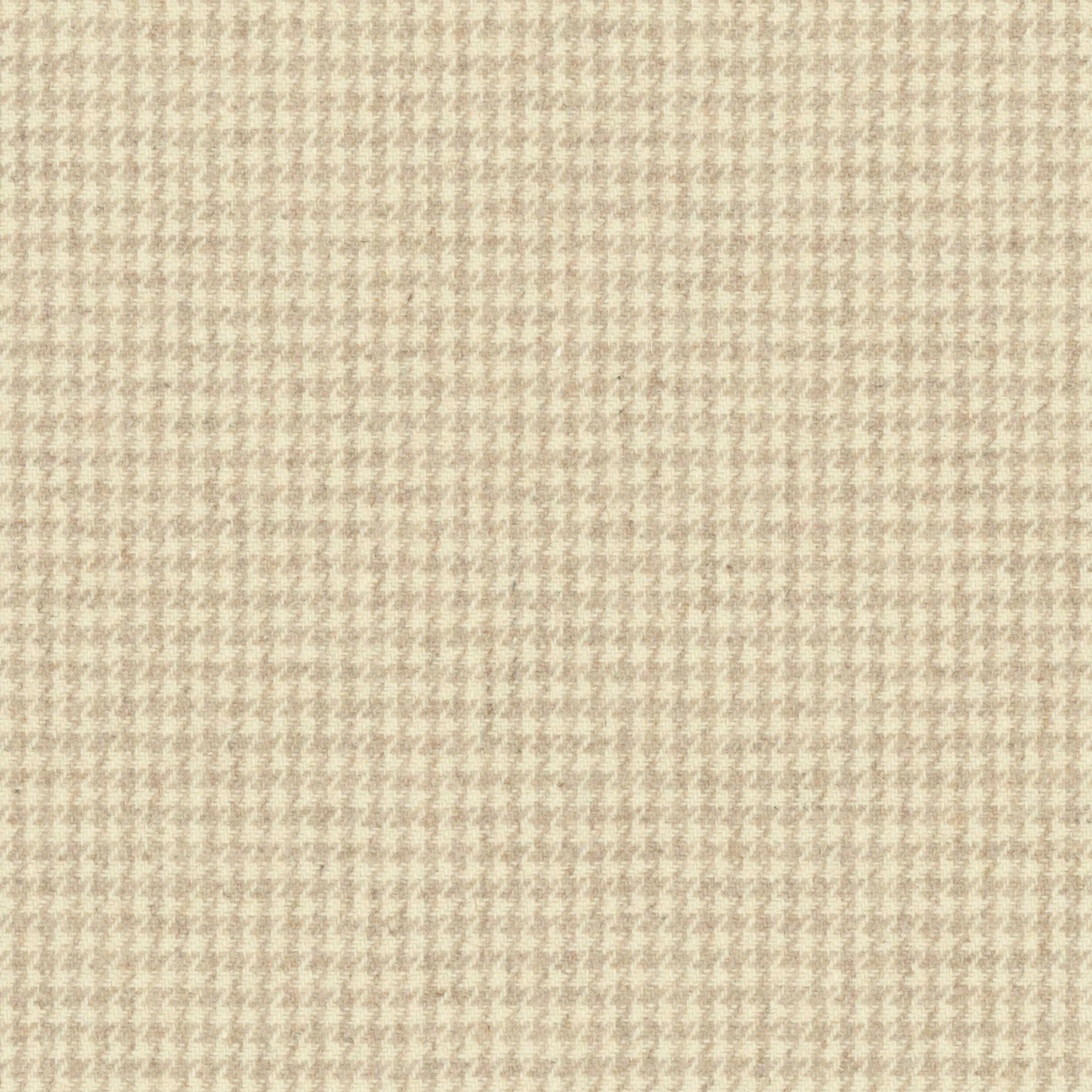 Birch 12