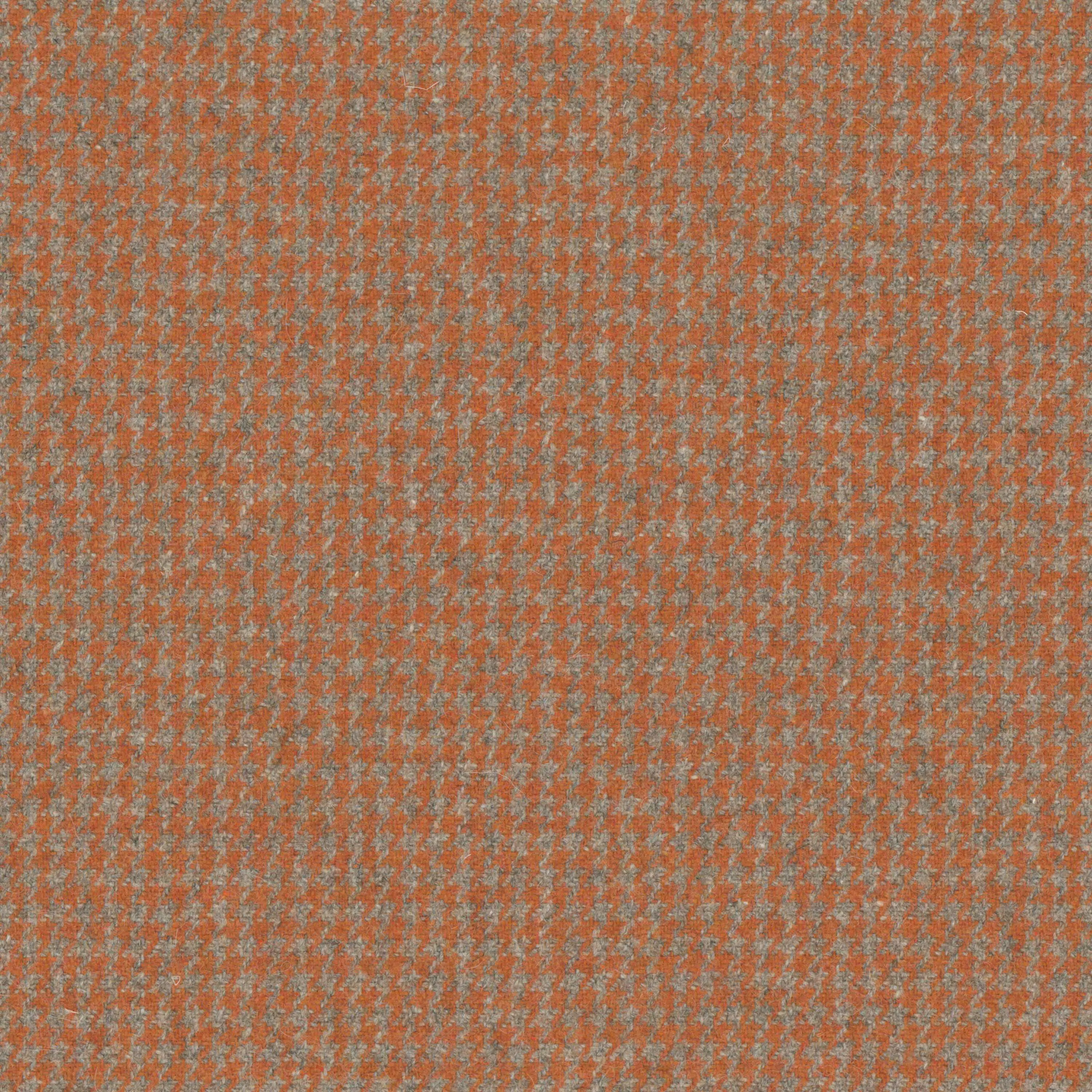 Apricot Orange 08