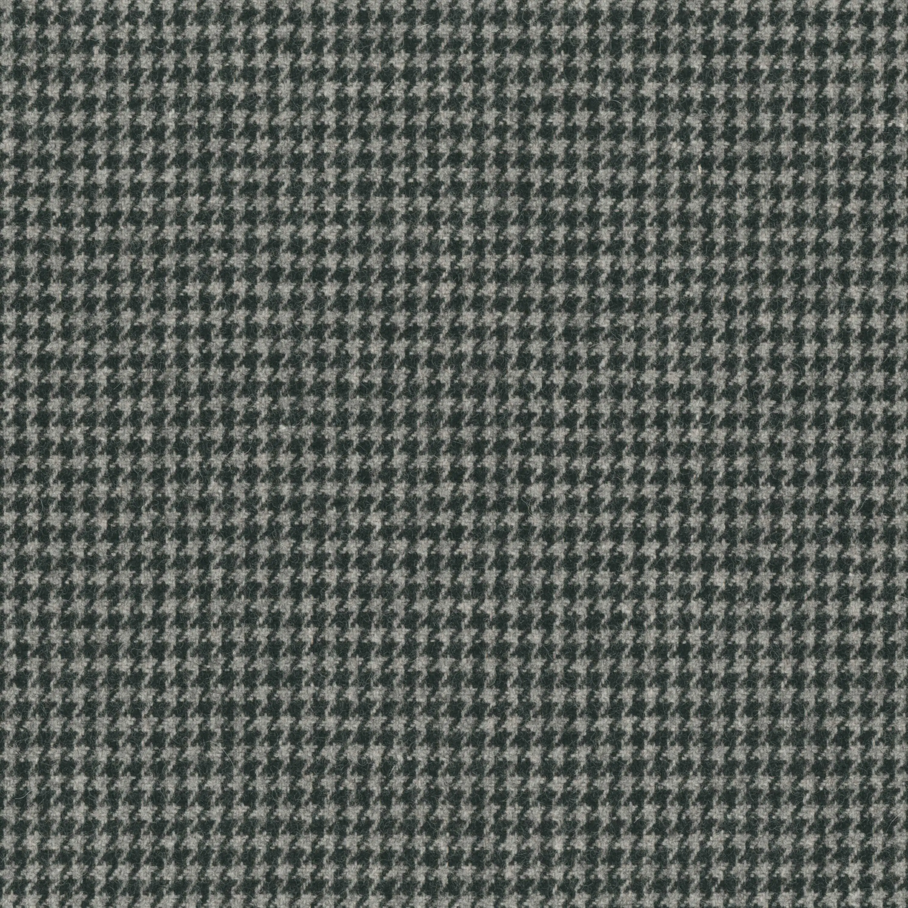 Meteorite 01
