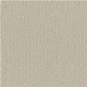 Pumice Stone 02