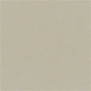 Pumice Stone 02