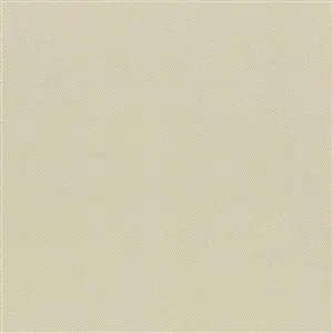 Ancient Scroll 06