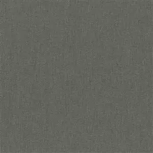 Dark Gull Gray 13