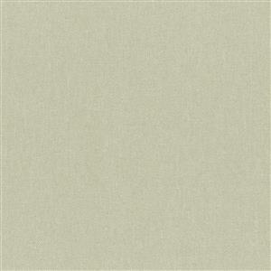 Silver Birch 35