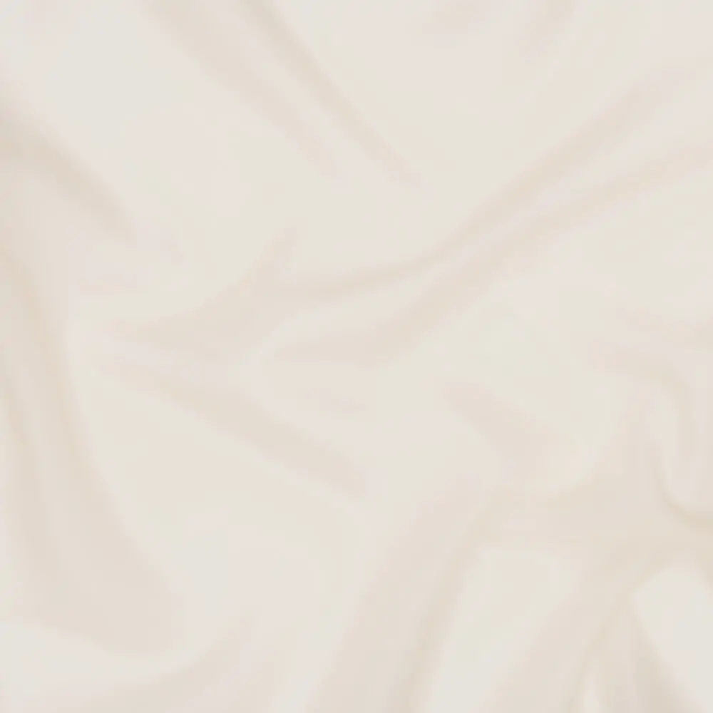 Pistachio Shell 04