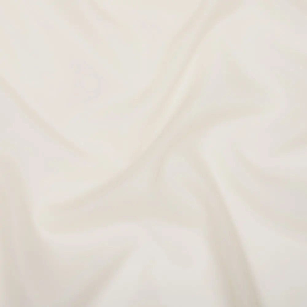 White Asparagus 05