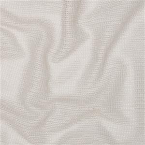Oyster Mushroom 29
