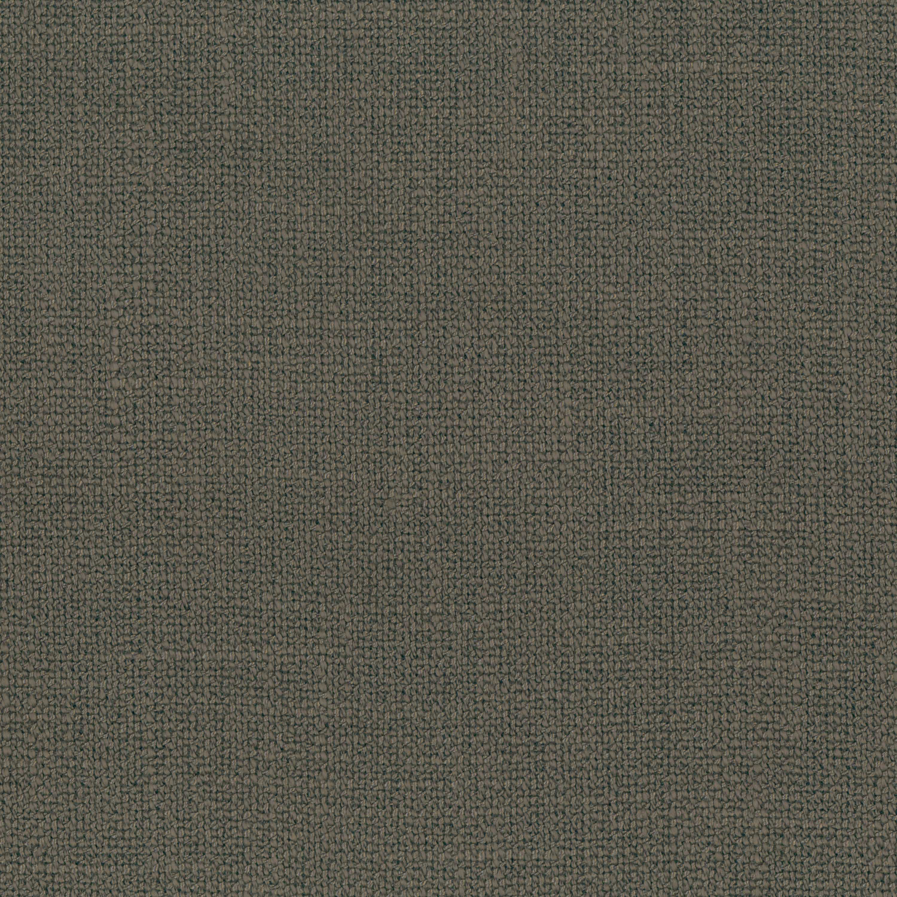 Black Olive 15