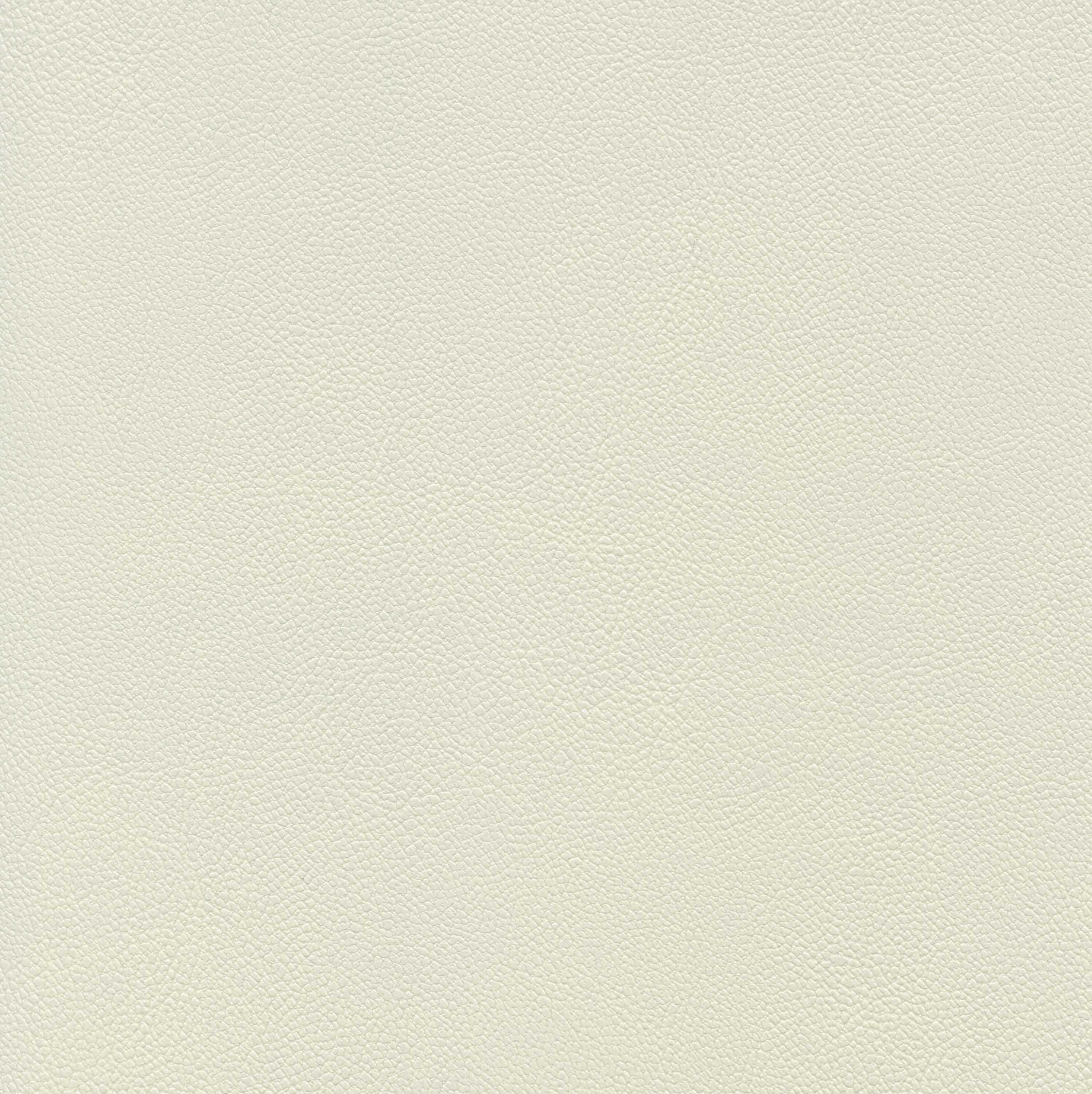 Gardenia 02