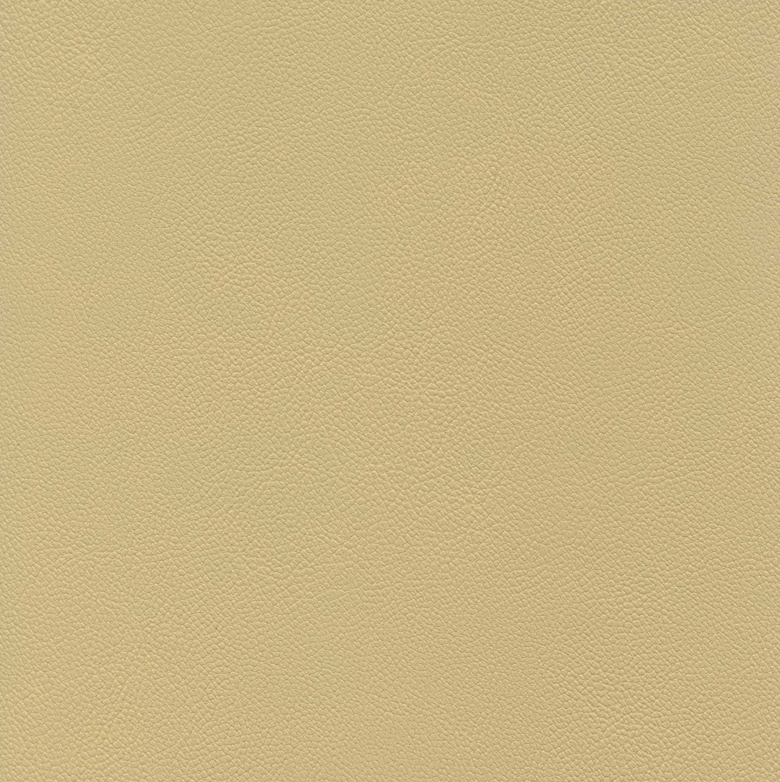Biscotti 03
