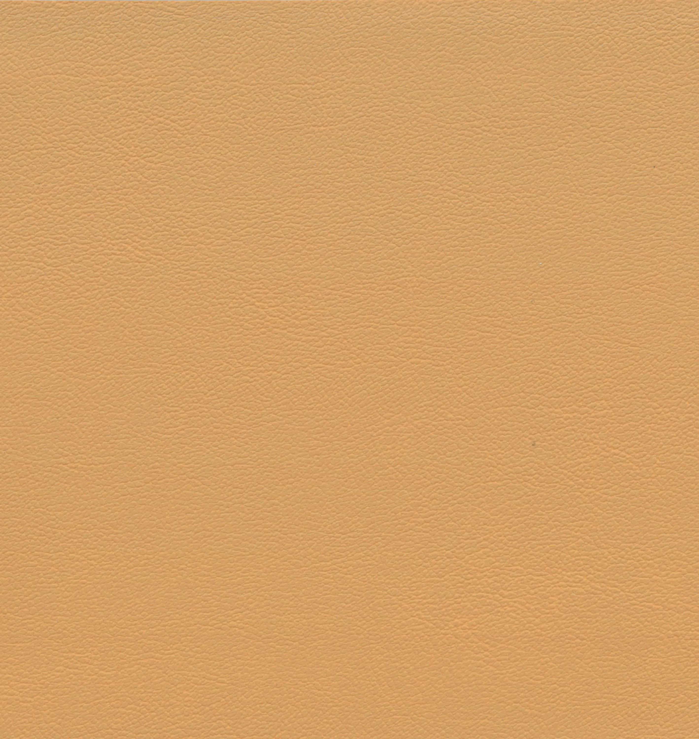 Croissant 14