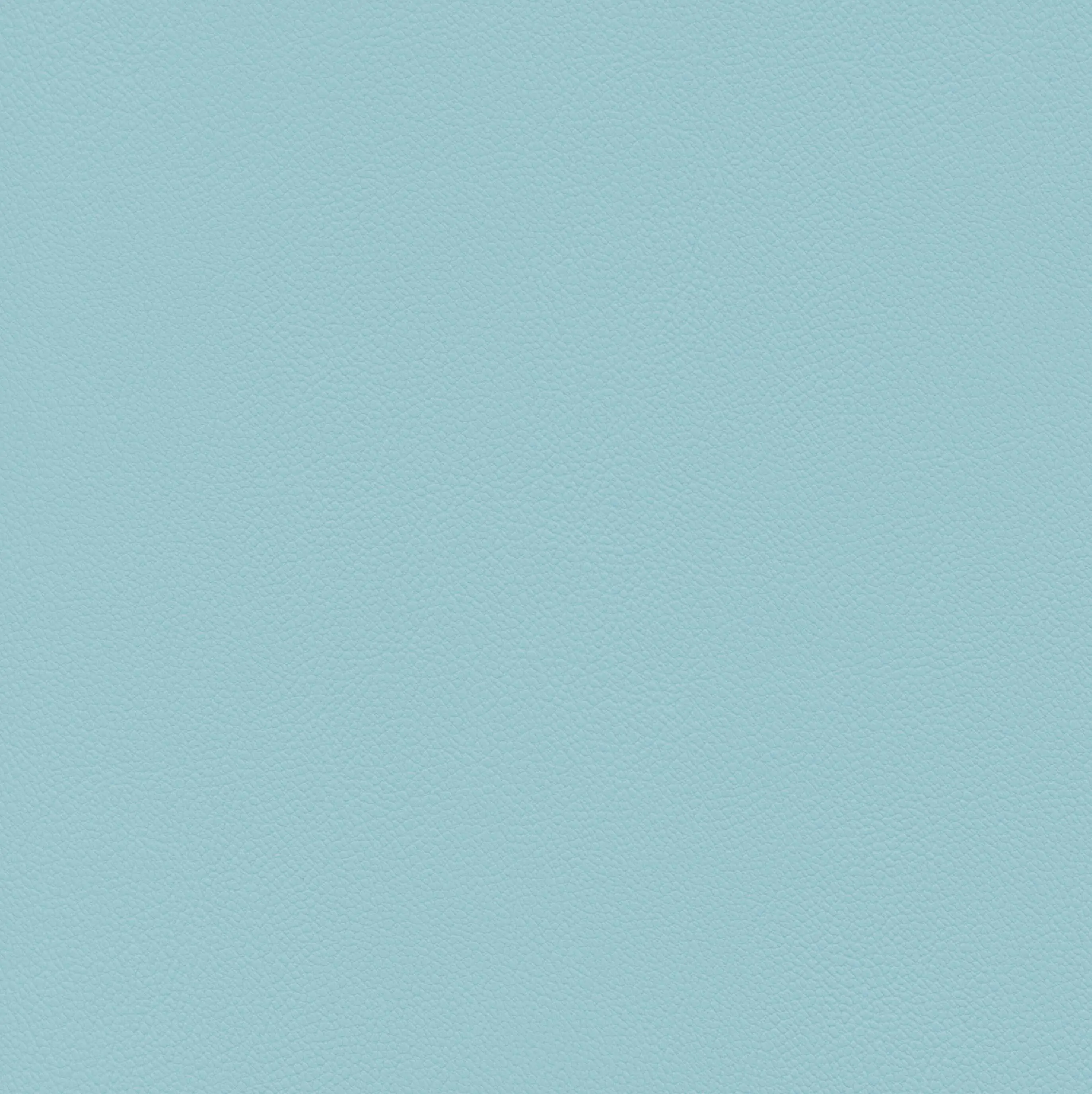 Winter Sky 16