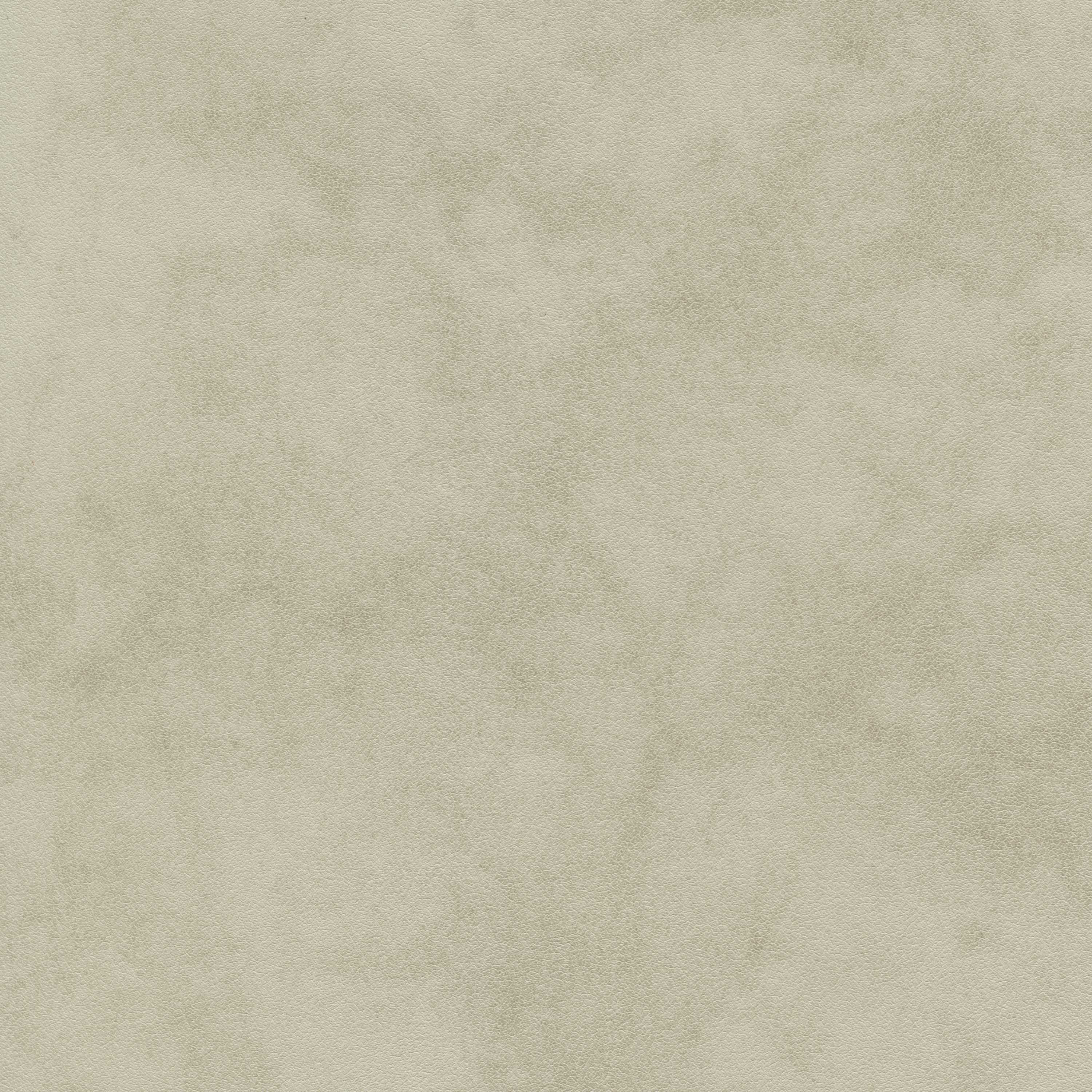 Ancient Scroll 03