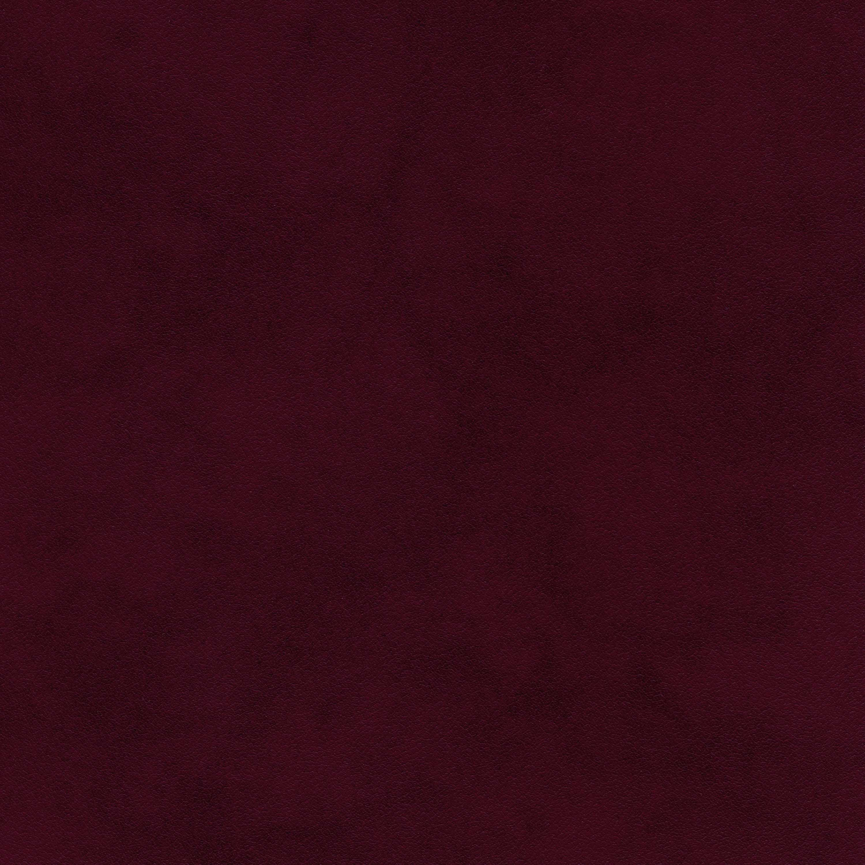 Cordovan 08