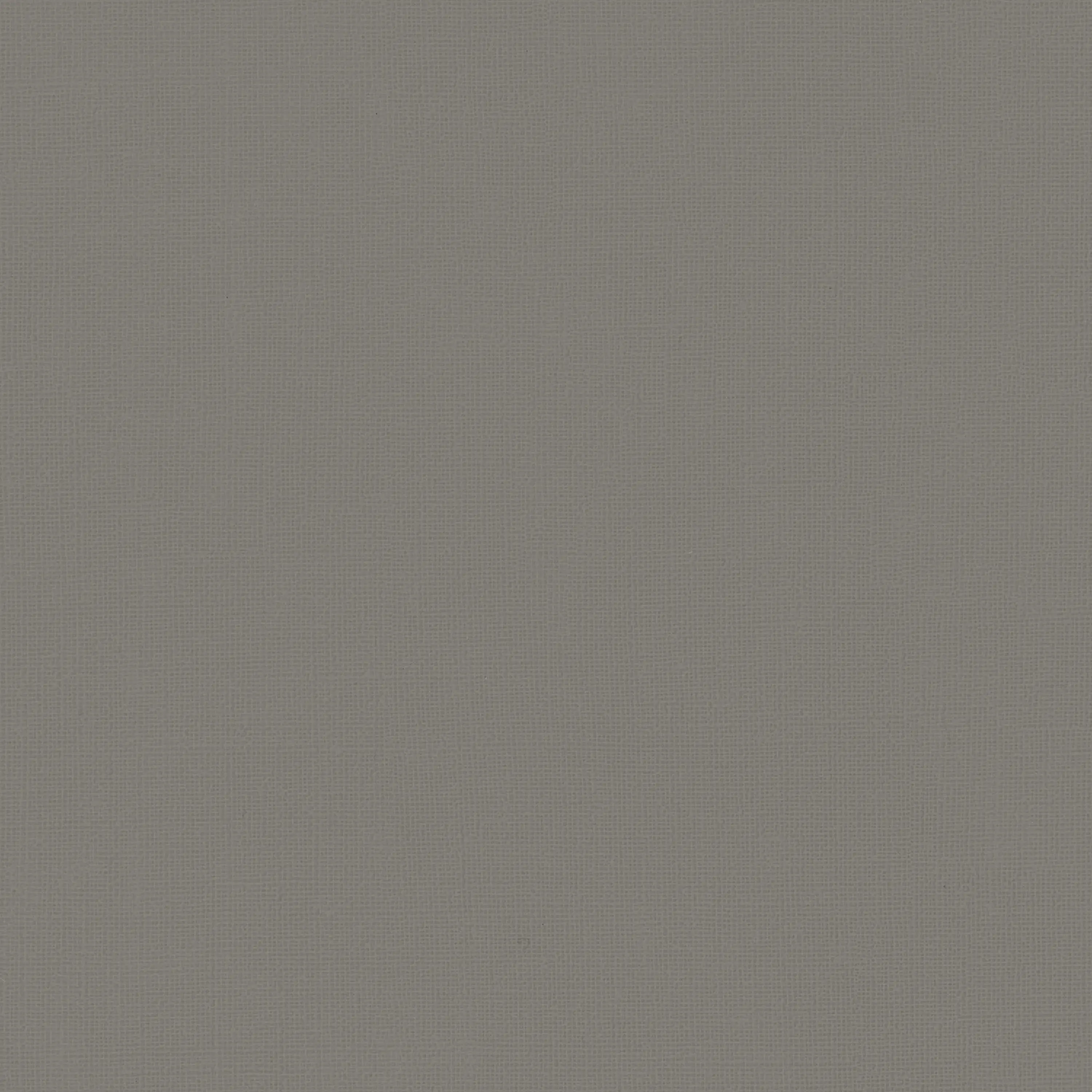 Opal Gray 08