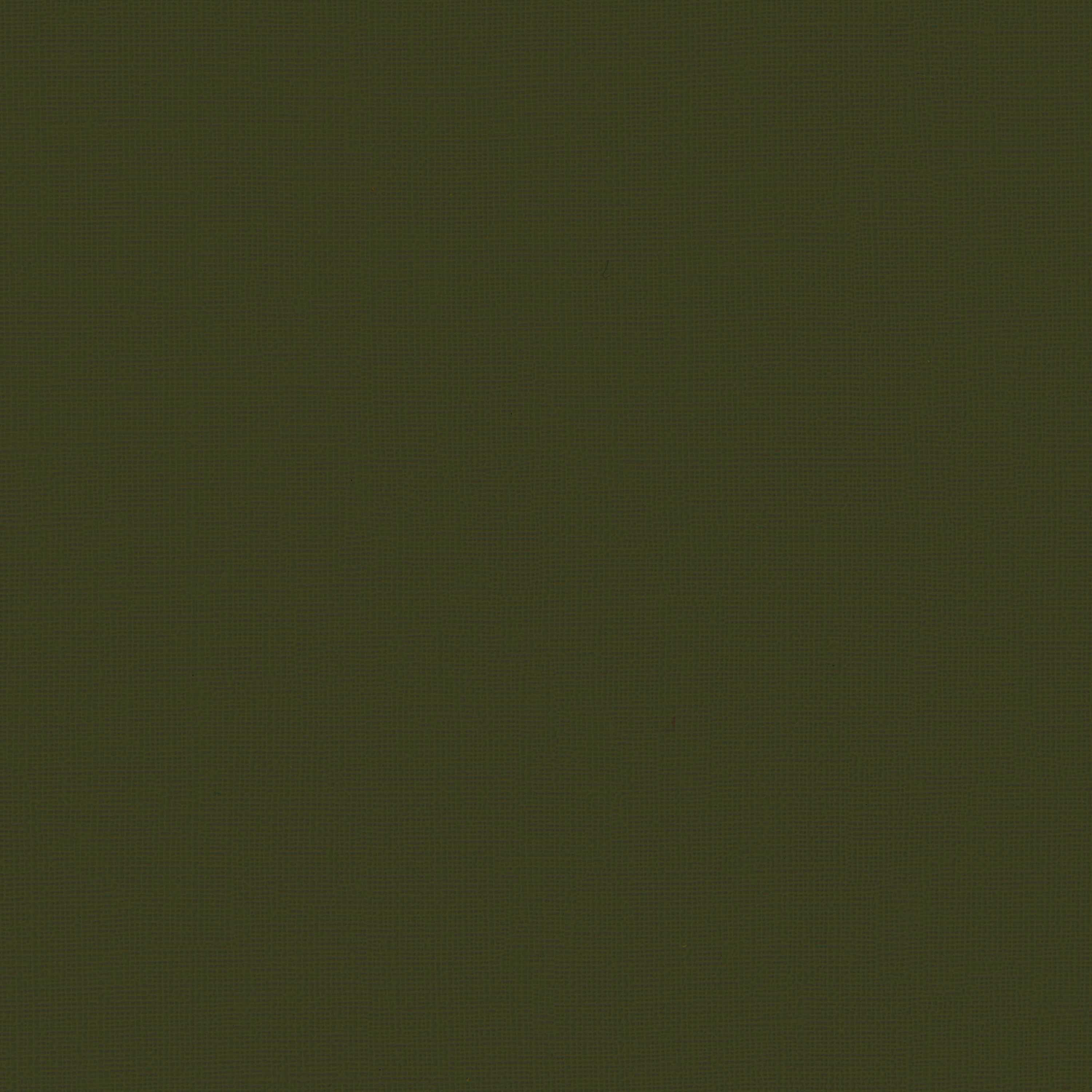 Peat Moss 16