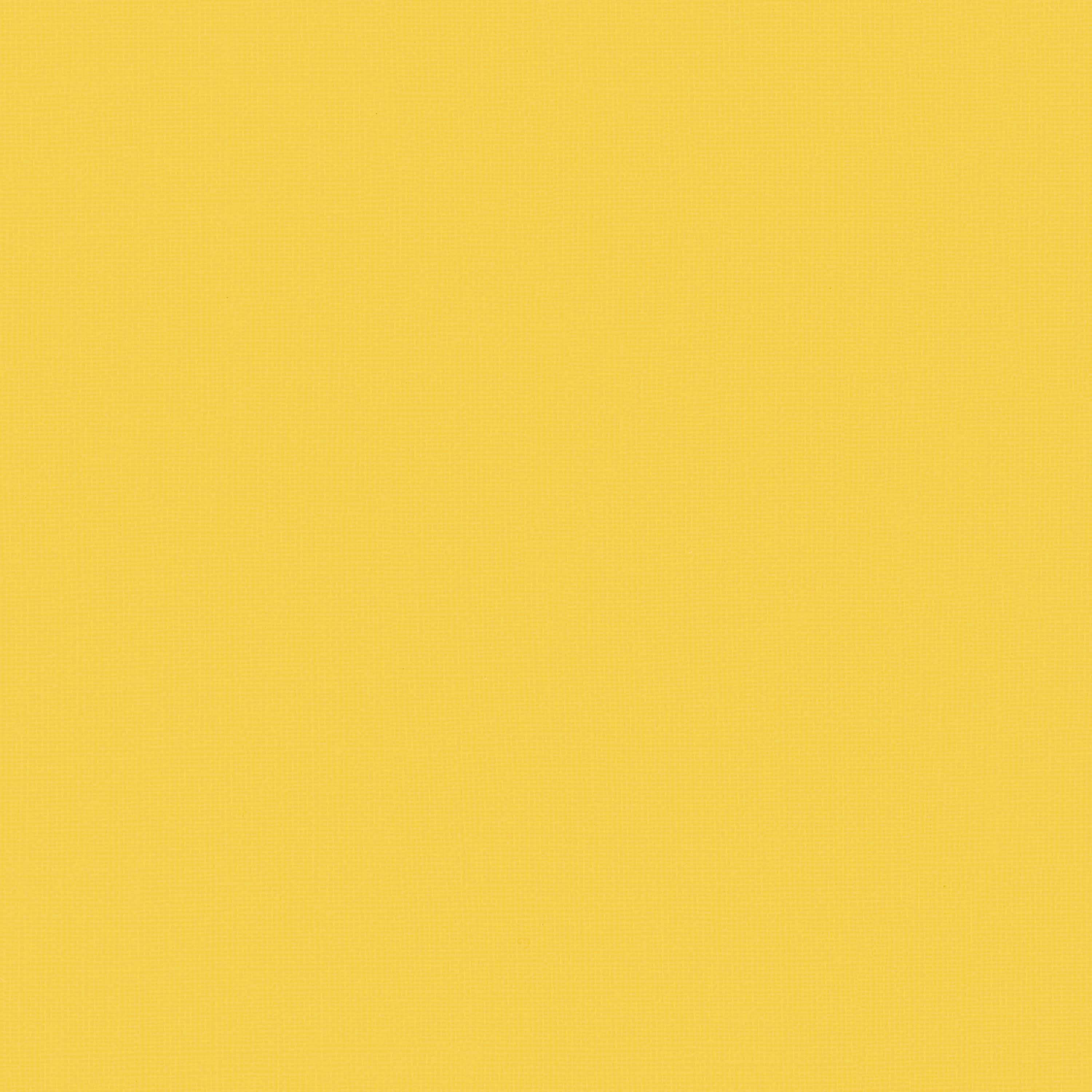 Slicker 17