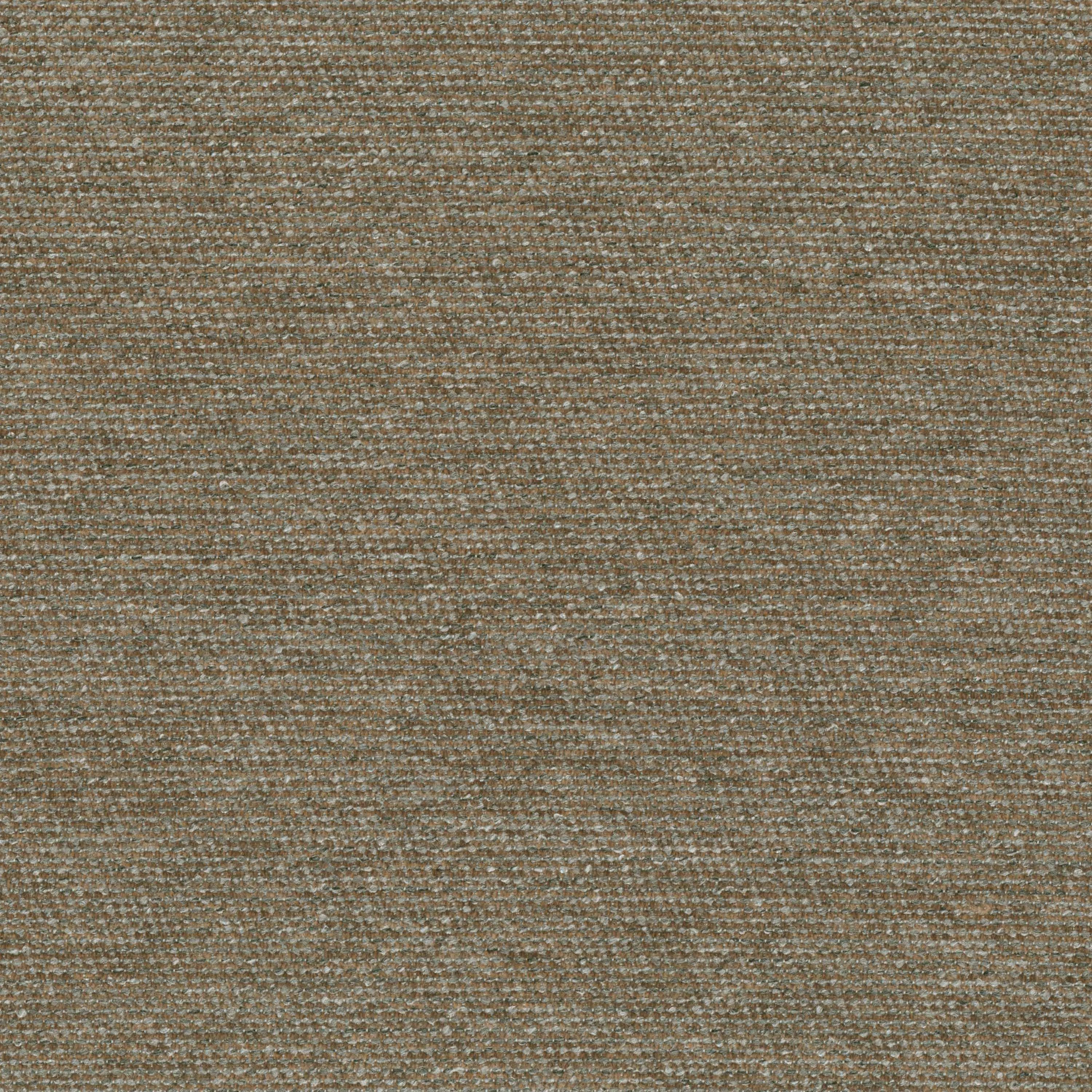 Desert Stone 11