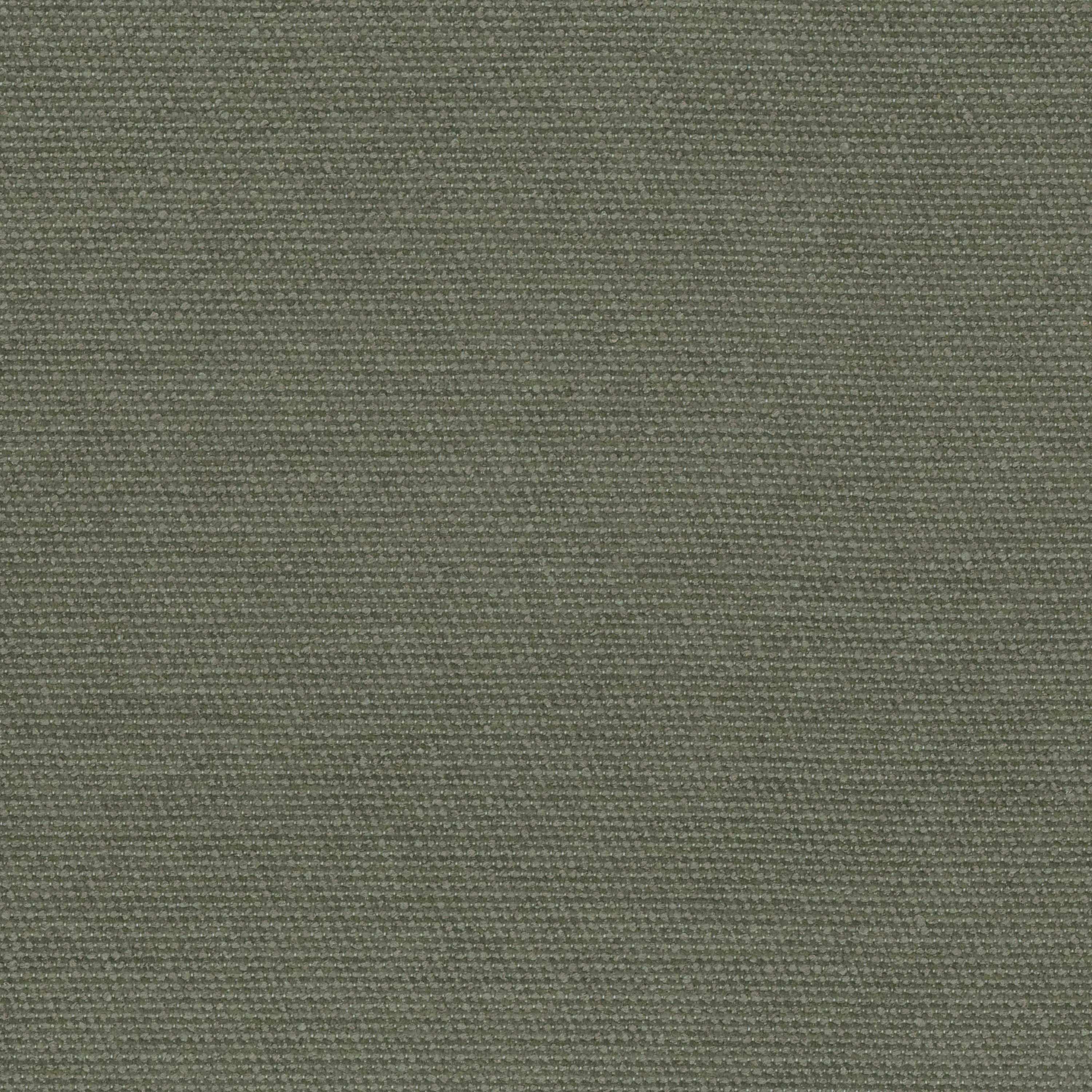 Deep Lichen Green 07