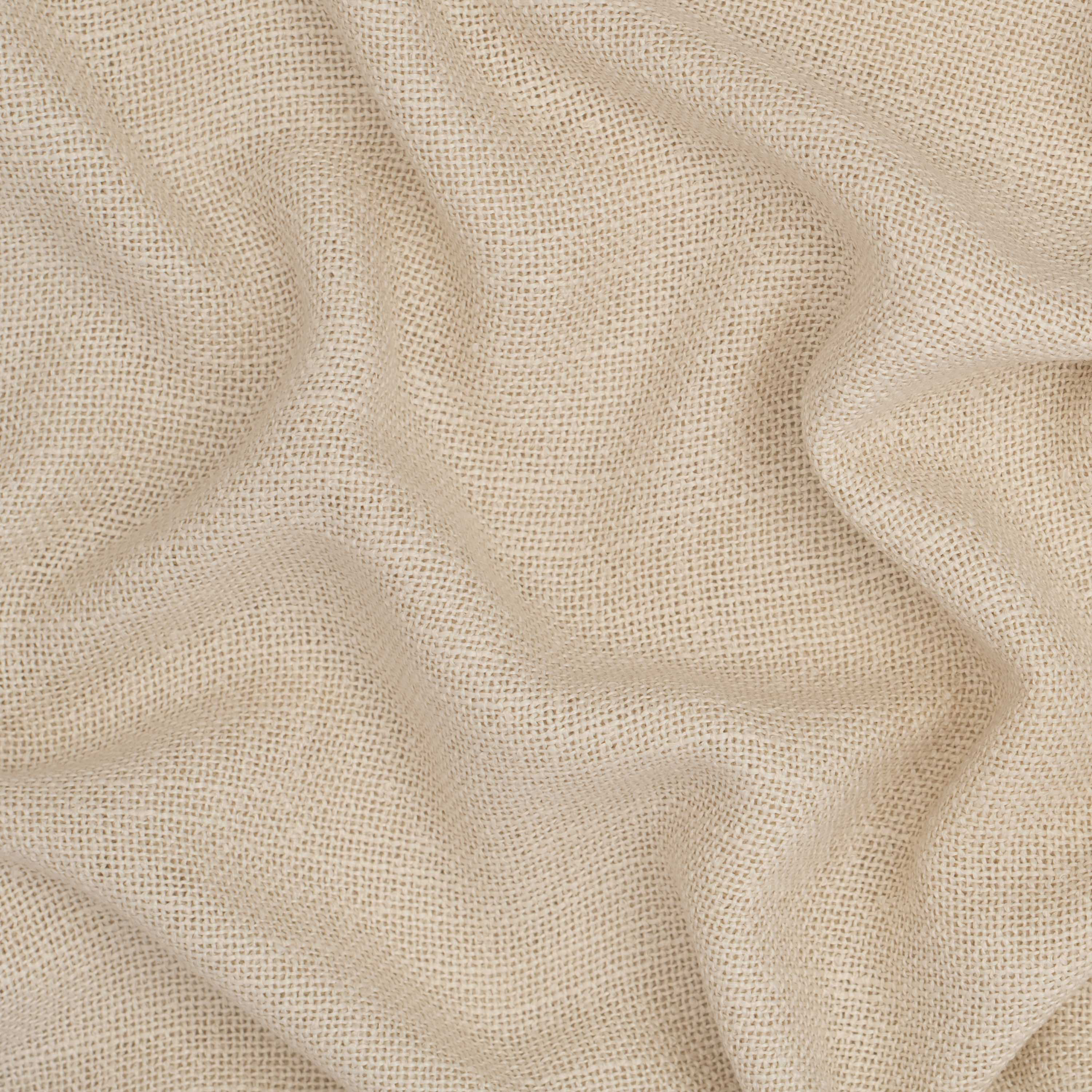 White Swan 12