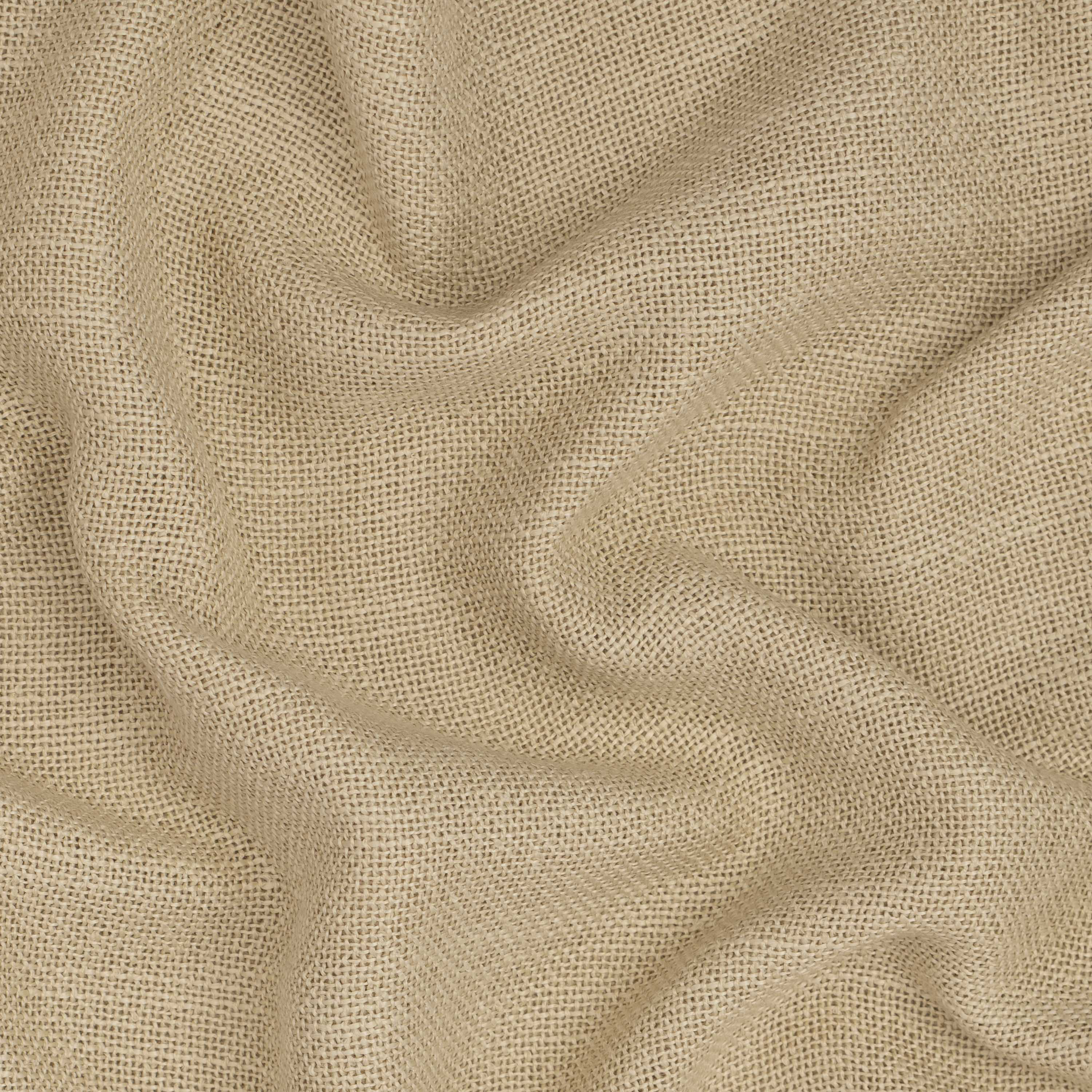 Oyster White 06