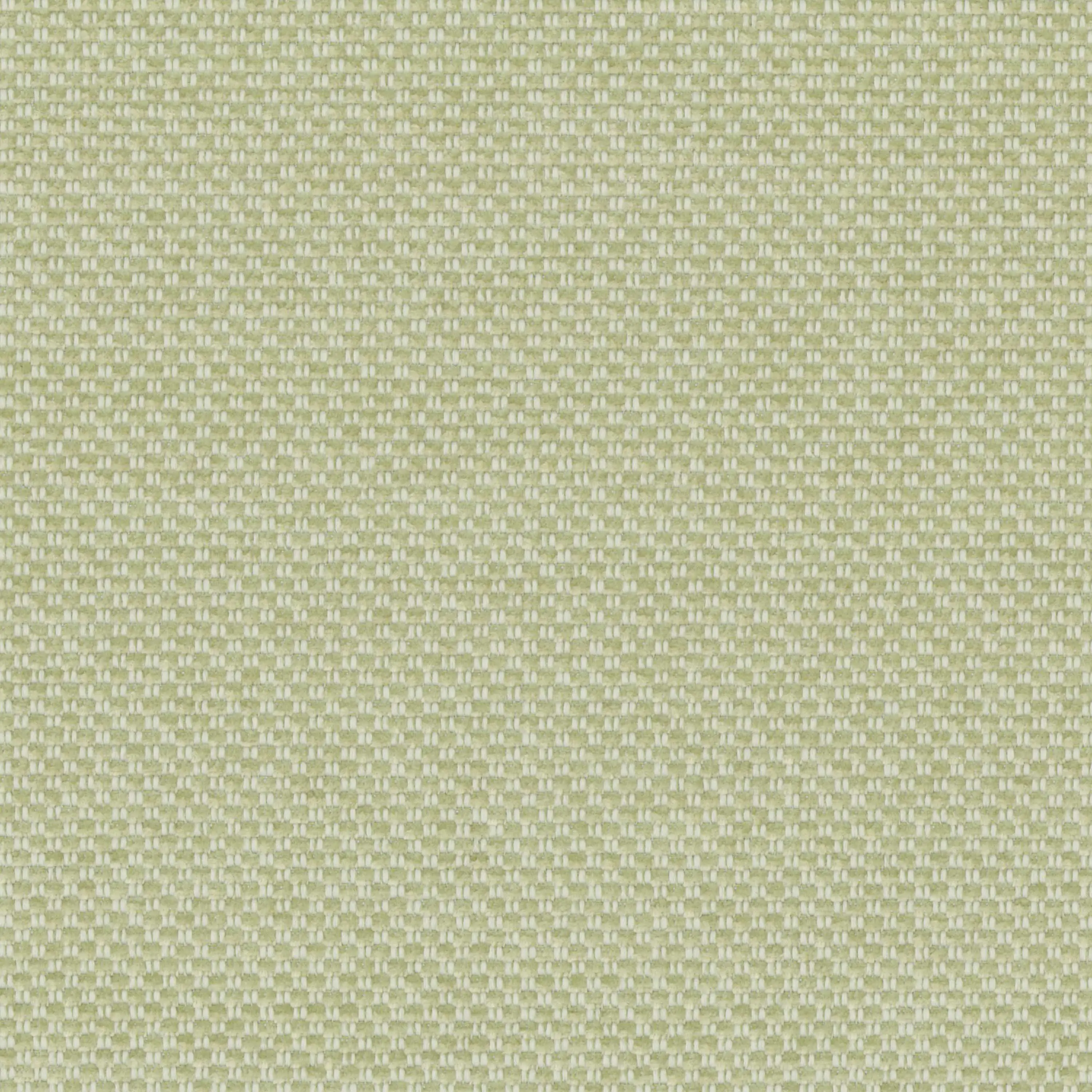 Ivory Sage 13