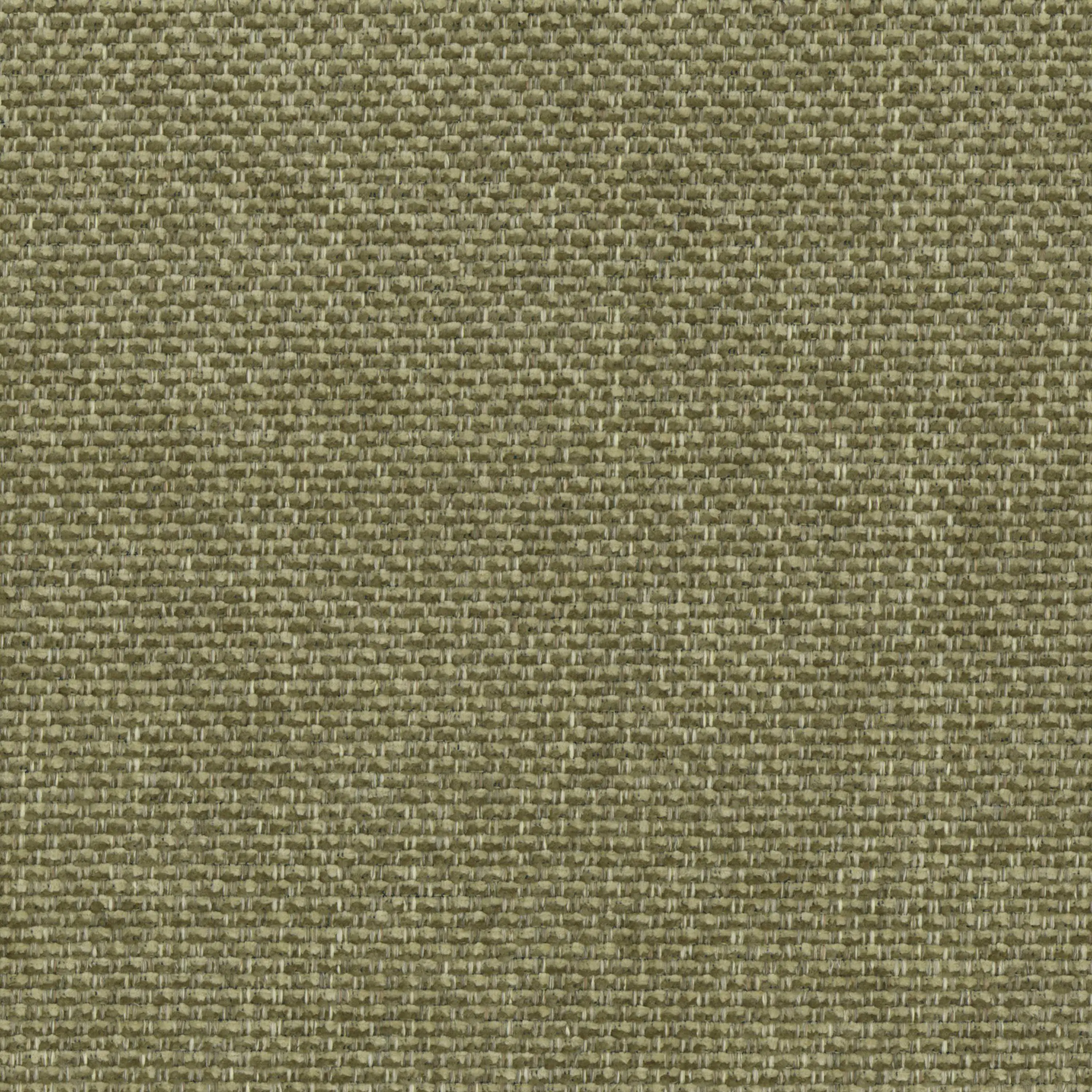 Moss Blend 26